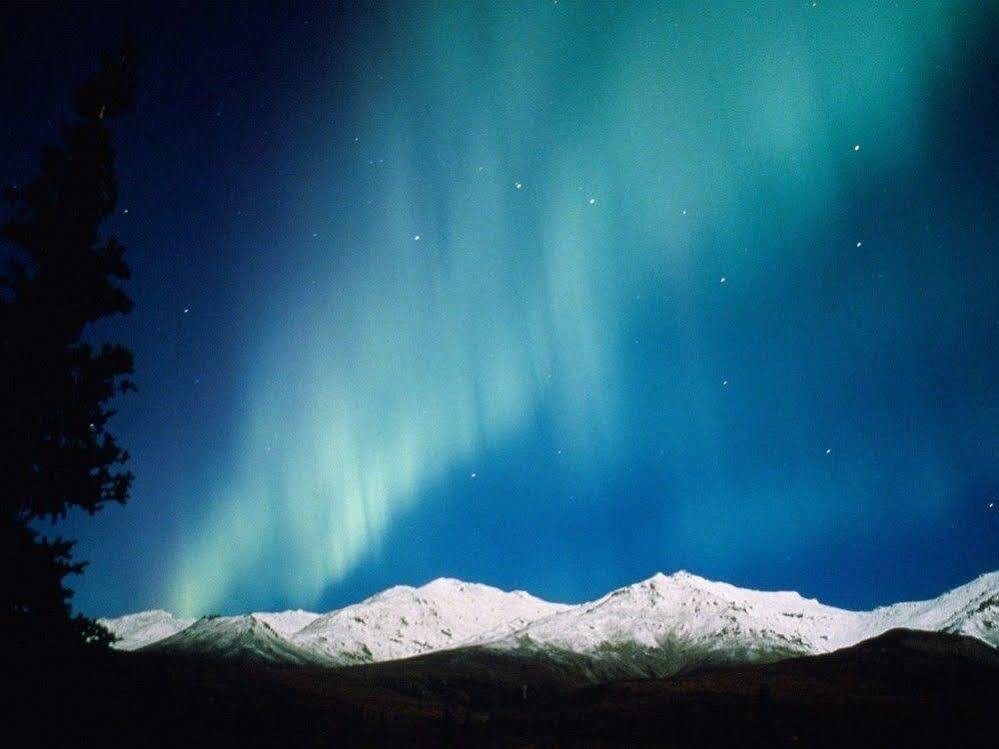 Aurora Denali Lodge Healy Esterno foto